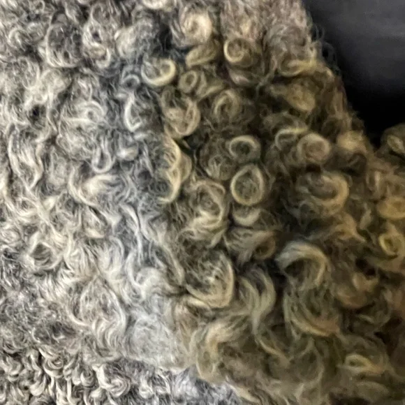 Women's Gray Shearling Coat - Picture 11 of 11